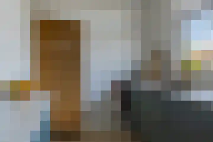Maassingel 68 's-Hertogenbosch thumbnail 19