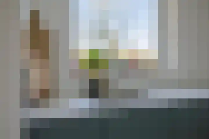 Maassingel 68 's-Hertogenbosch thumbnail 20