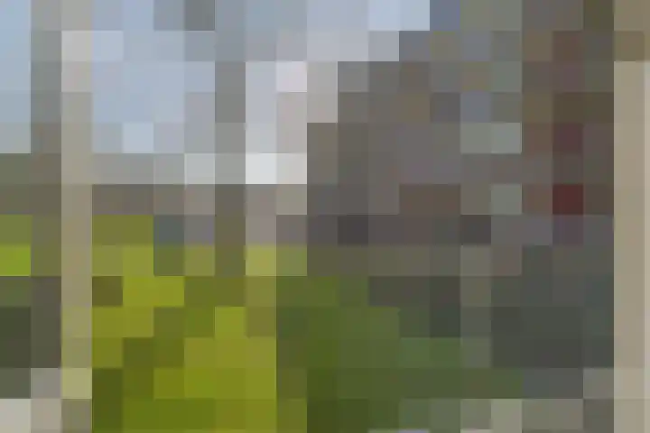 Maassingel 68 's-Hertogenbosch thumbnail 32