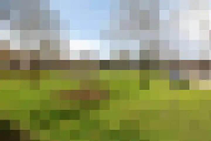 Maassingel 68 's-Hertogenbosch thumbnail 33