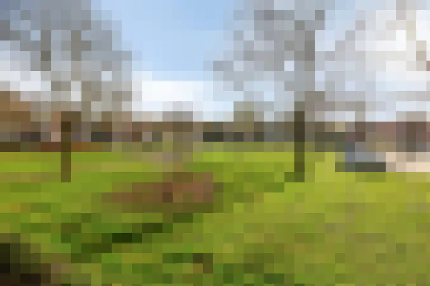 Maassingel 68 's-Hertogenbosch thumbnail 33