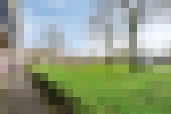 Maassingel 68 's-Hertogenbosch thumbnail 34