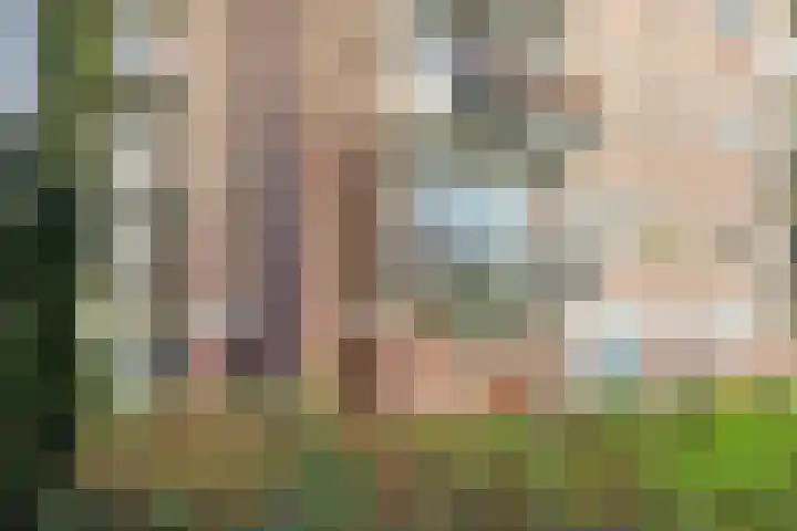 Maassingel 68 's-Hertogenbosch thumbnail 35