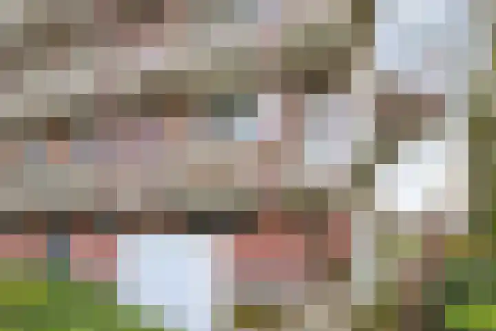 Maassingel 68 's-Hertogenbosch thumbnail 36