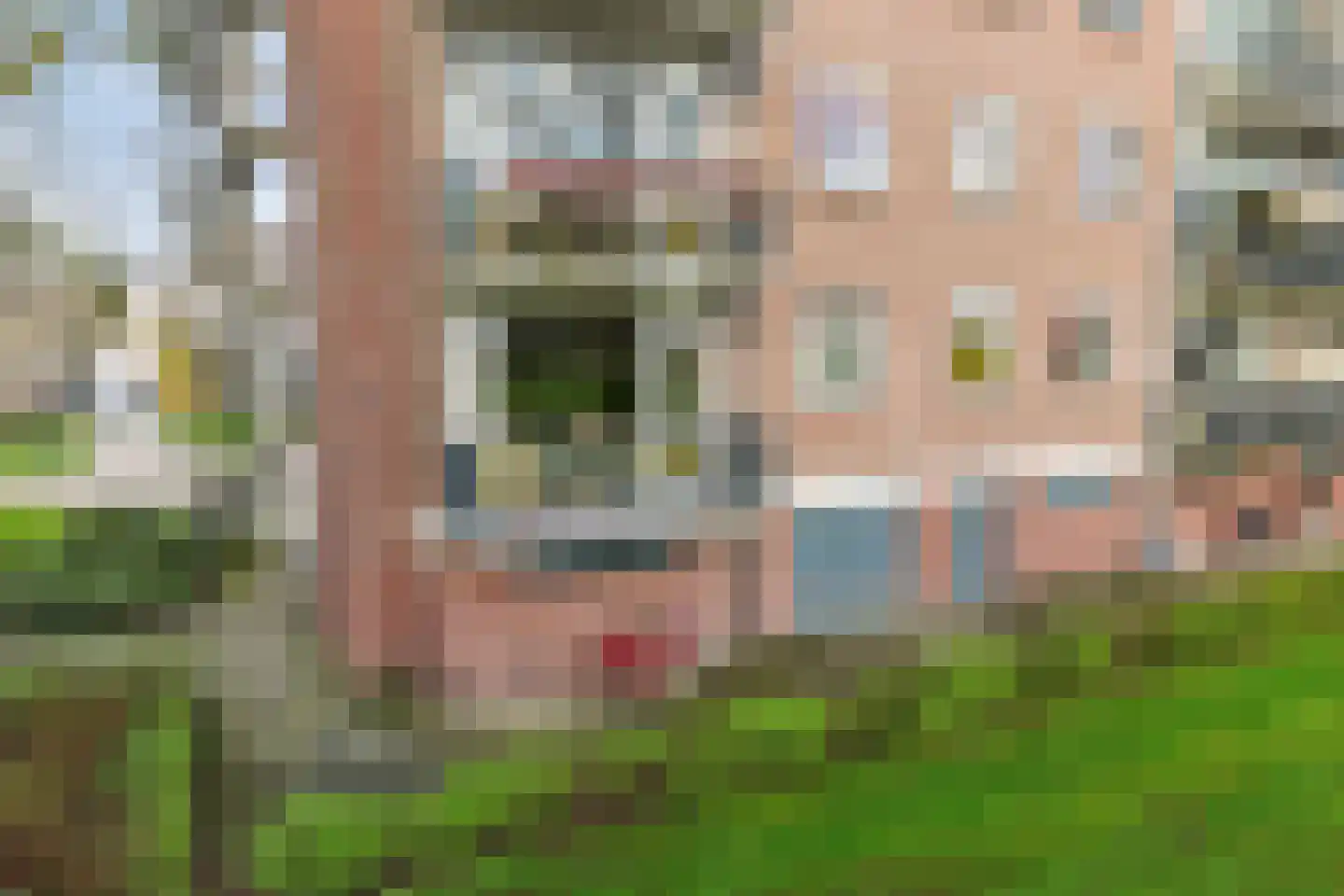 Maassingel 68 's-Hertogenbosch thumbnail 37