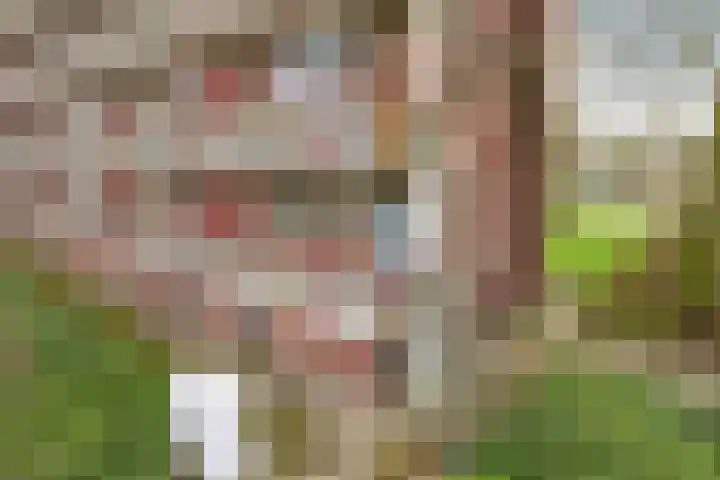 Maassingel 68 's-Hertogenbosch thumbnail 38