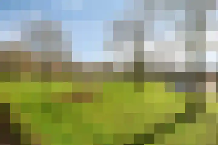 Maassingel 68 's-Hertogenbosch thumbnail 39