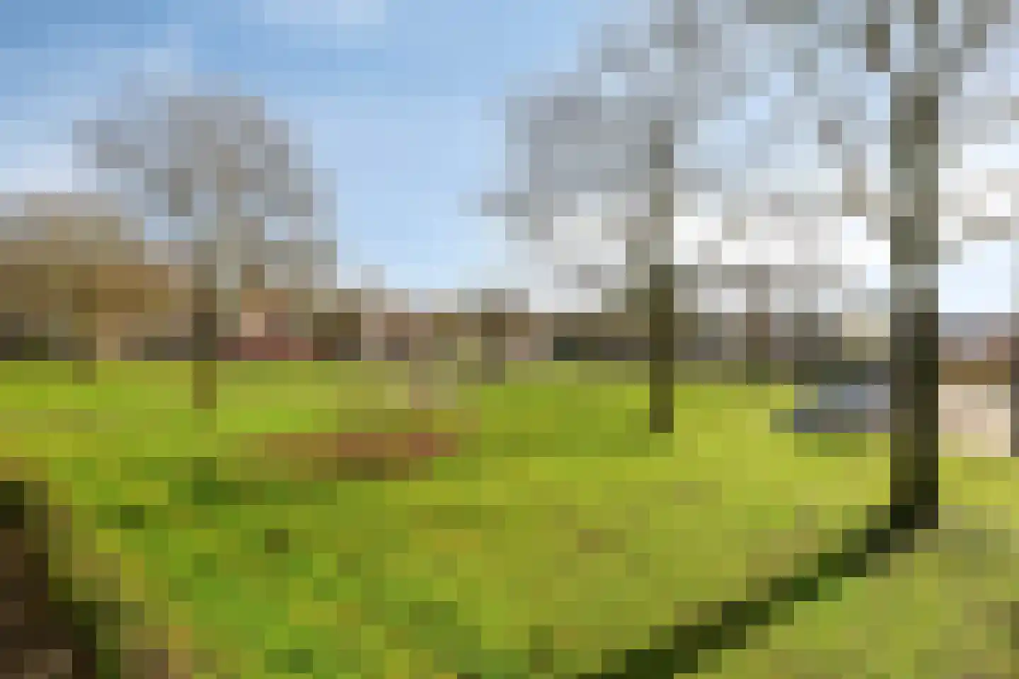 Maassingel 68 's-Hertogenbosch thumbnail 39