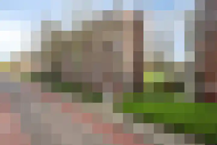 Maassingel 68 's-Hertogenbosch thumbnail 4