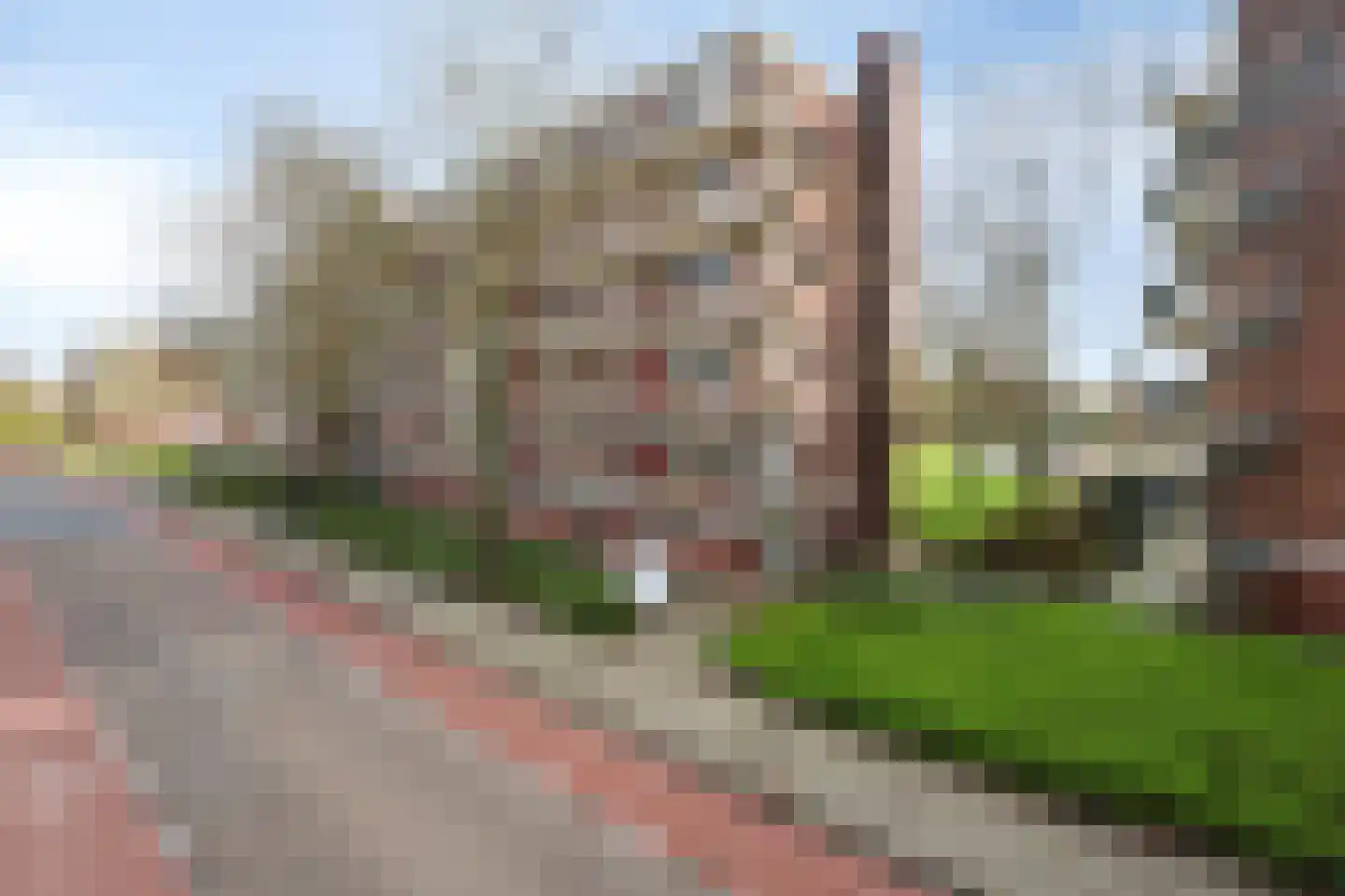 Maassingel 68 's-Hertogenbosch thumbnail 4