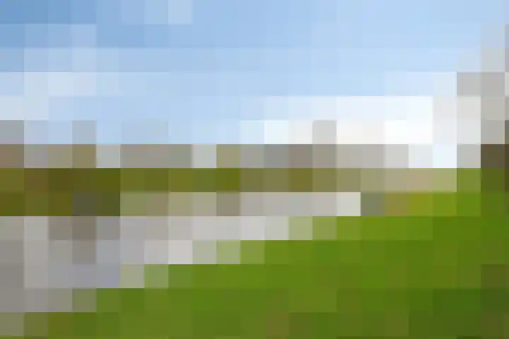 Maassingel 68 's-Hertogenbosch thumbnail 40