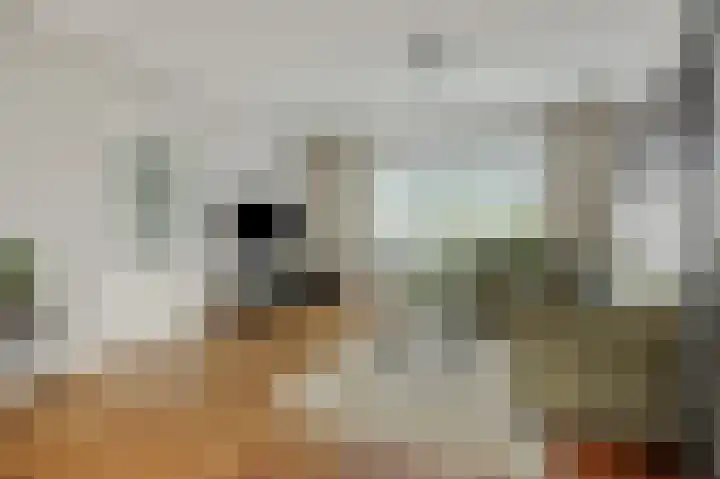 Maassingel 74 Deurne thumbnail 10
