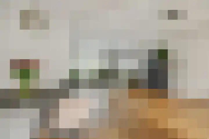 Maassingel 74 Deurne thumbnail 11