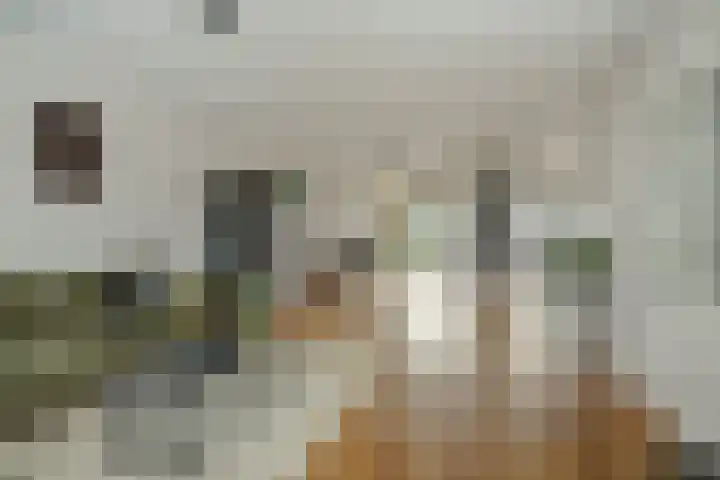 Maassingel 74 Deurne thumbnail 12