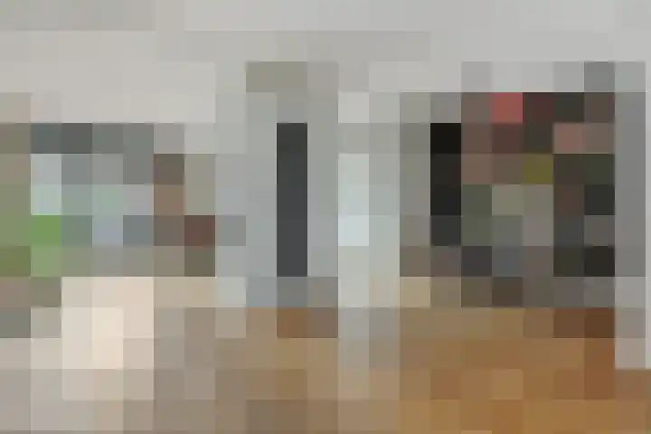 Maassingel 74 Deurne thumbnail 13