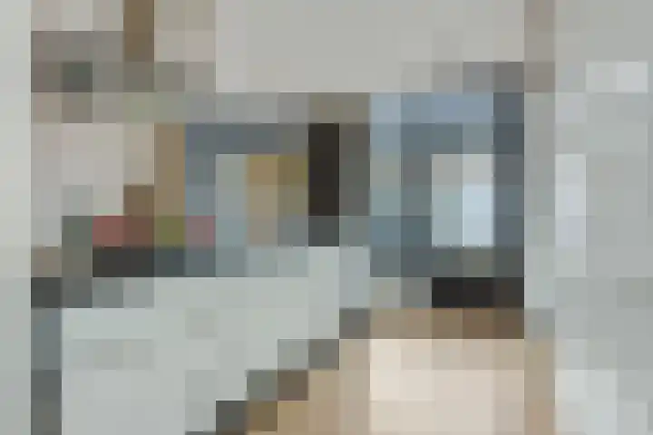 Maassingel 74 Deurne thumbnail 17