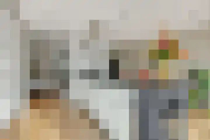 Maassingel 74 Deurne thumbnail 18