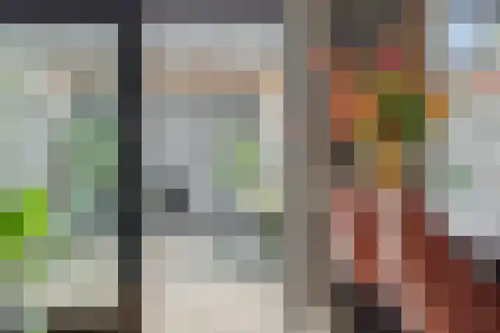 Maassingel 74 Deurne thumbnail 19