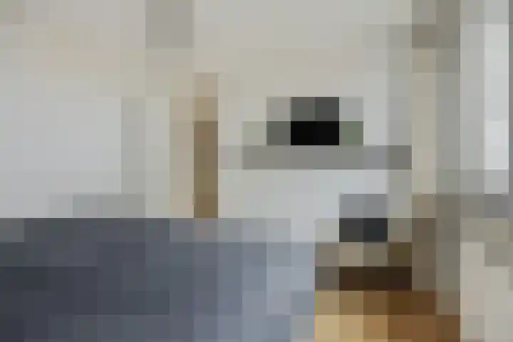 Maassingel 74 Deurne thumbnail 21