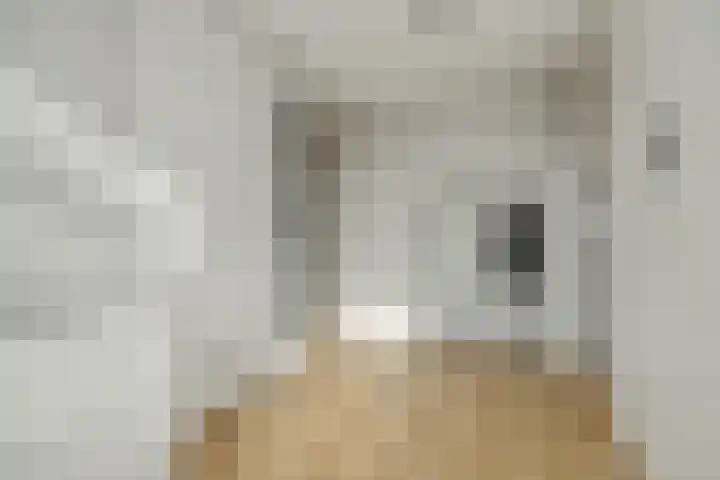 Maassingel 74 Deurne thumbnail 22