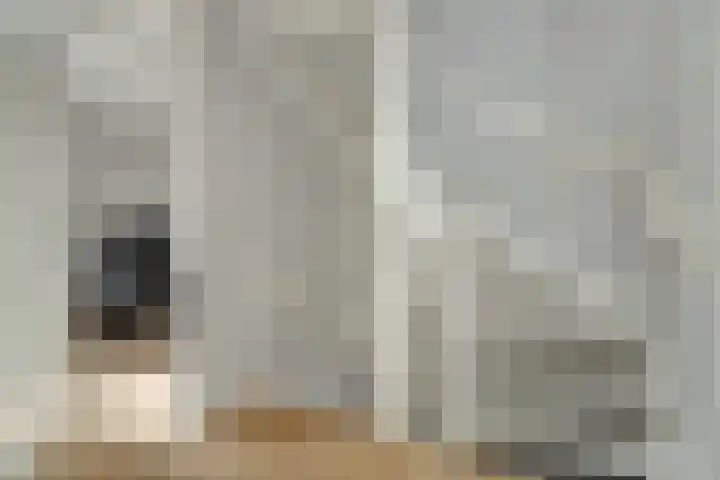 Maassingel 74 Deurne thumbnail 29