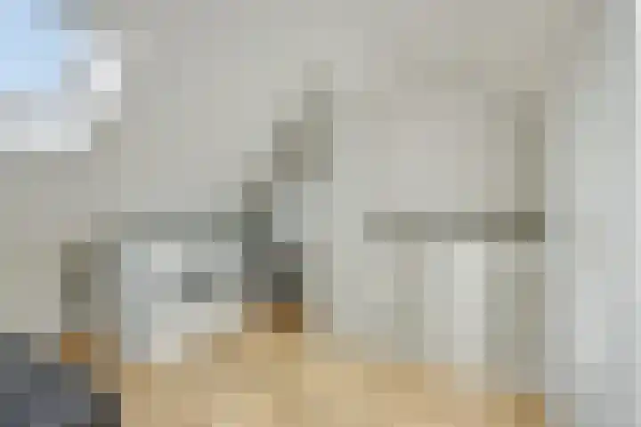 Maassingel 74 Deurne thumbnail 30