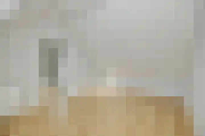 Maassingel 74 Deurne thumbnail 31