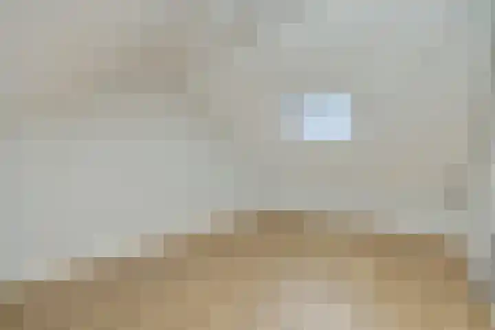 Maassingel 74 Deurne thumbnail 32