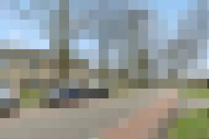 Maassingel 74 Deurne thumbnail 38