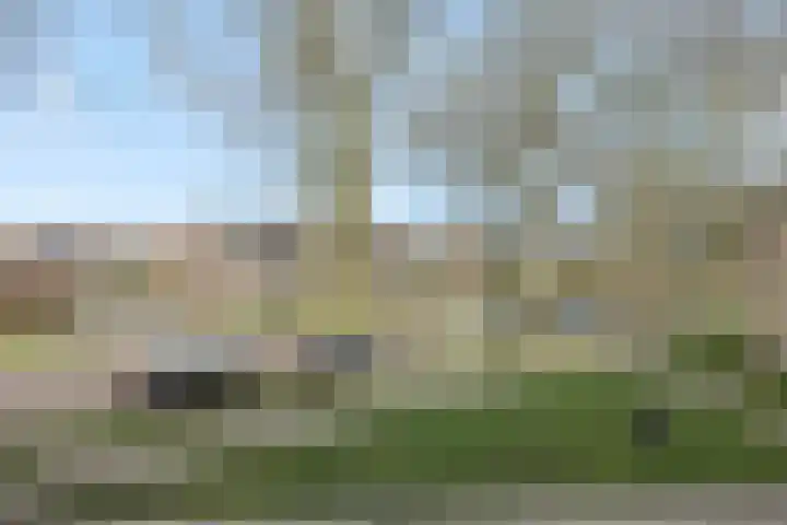 Maassingel 74 Deurne thumbnail 39