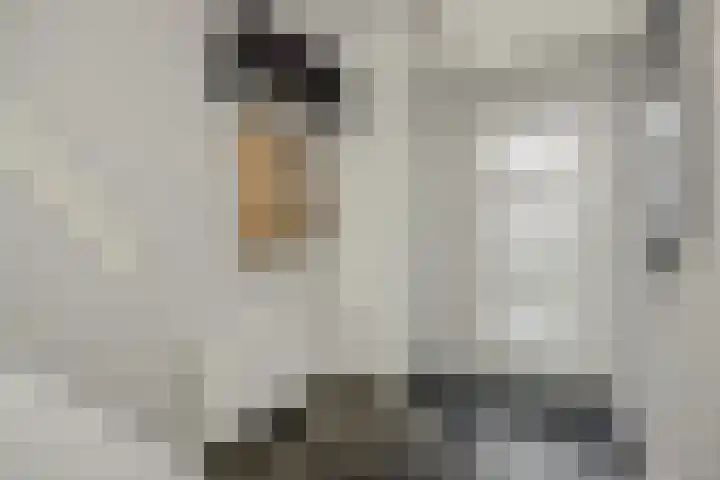 Maassingel 74 Deurne thumbnail 7