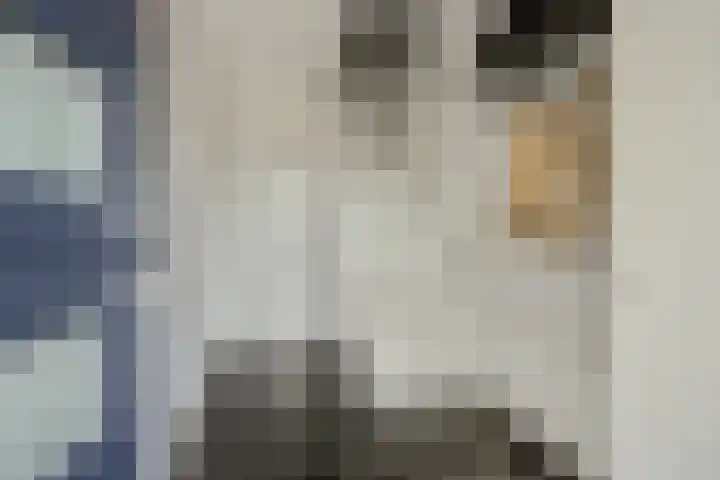 Maassingel 74 Deurne thumbnail 8