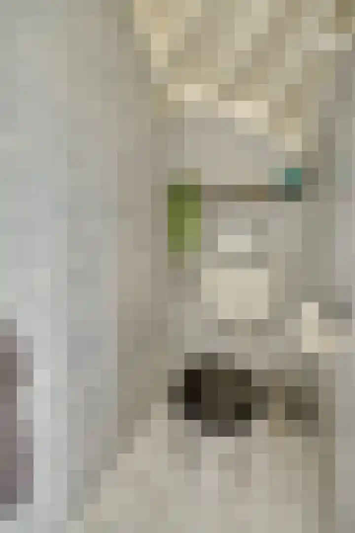 Maassingel 74 Deurne thumbnail 9