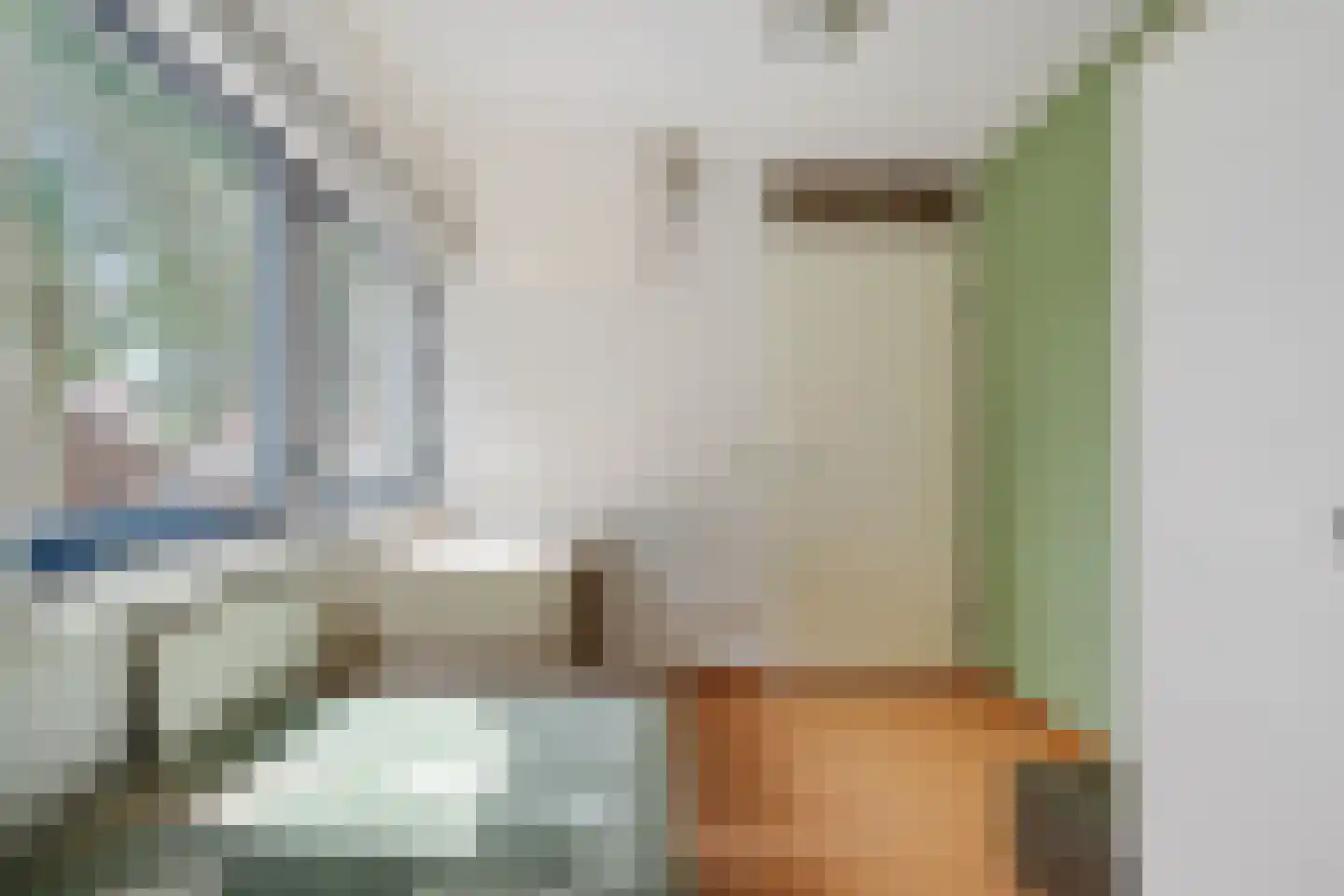 Maassingel 74 IJsselstein thumbnail 41