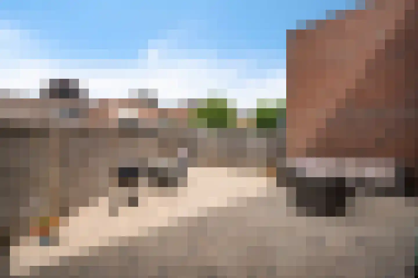 Maassingel 74 IJsselstein thumbnail 51