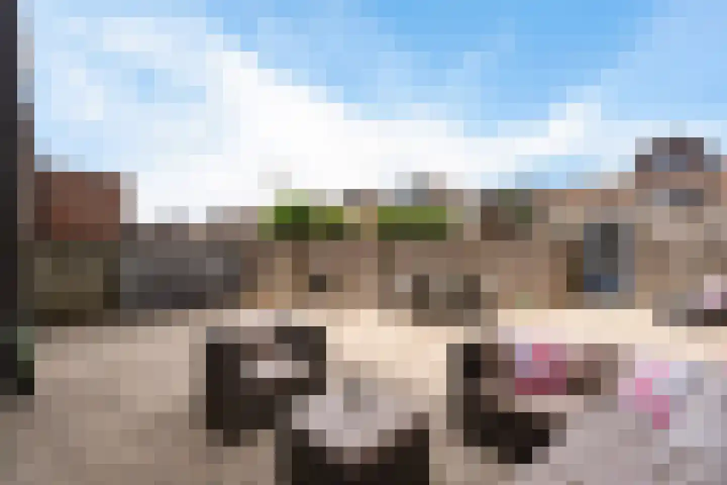 Maassingel 74 IJsselstein thumbnail 53