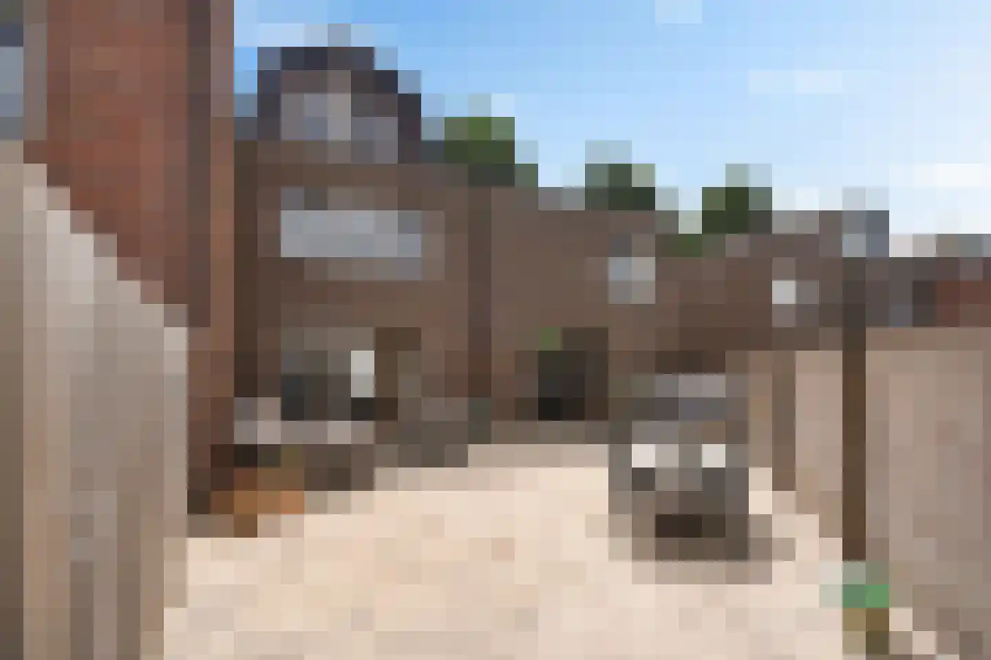 Maassingel 74 IJsselstein thumbnail 54