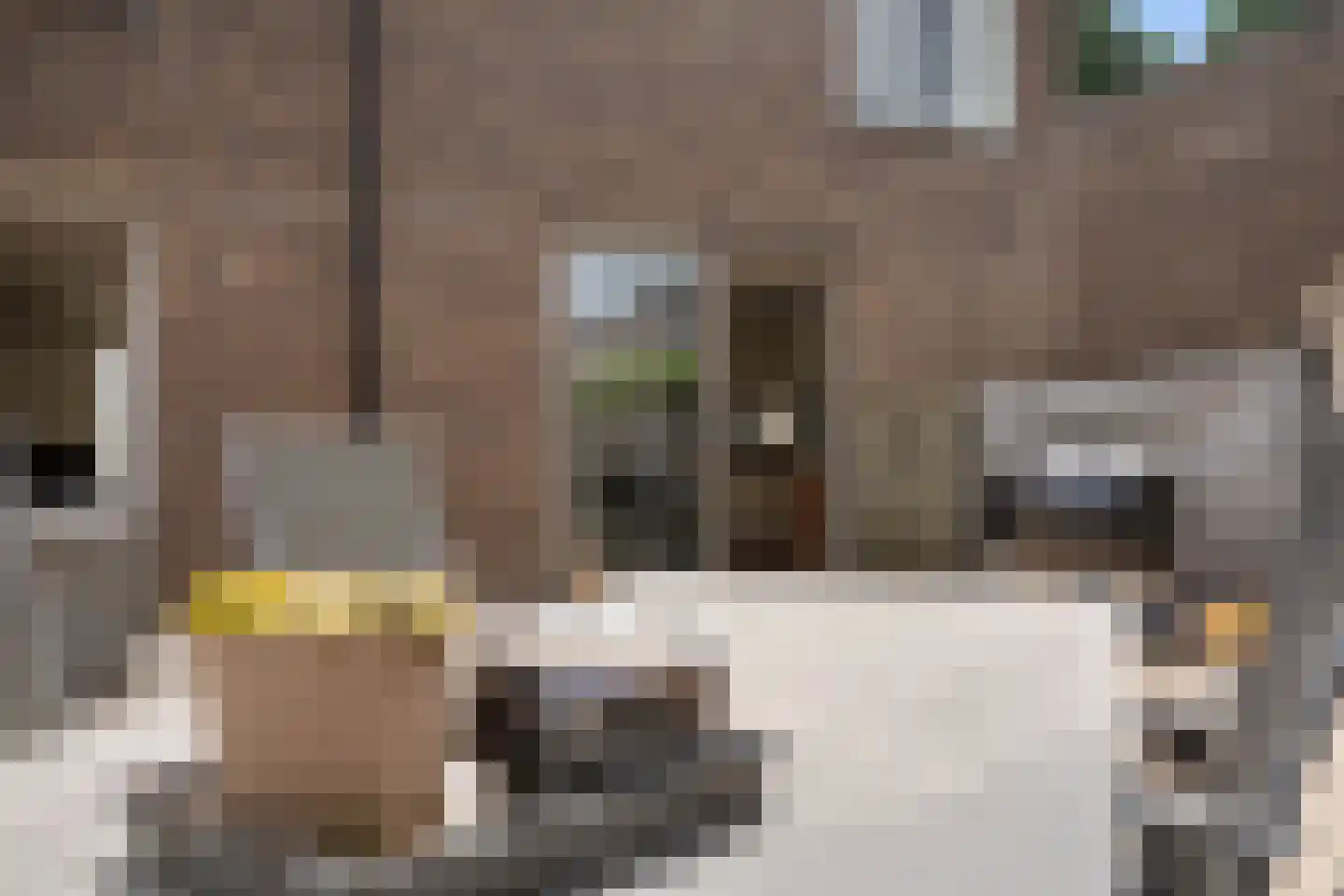 Maassingel 74 IJsselstein thumbnail 59