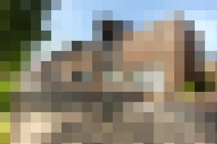 Maassingel 76 IJsselstein thumbnail 35