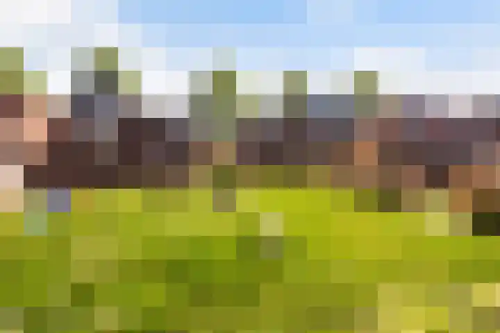 Maassingel 76 IJsselstein thumbnail 45