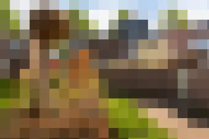 Maassingel 76 IJsselstein thumbnail 46