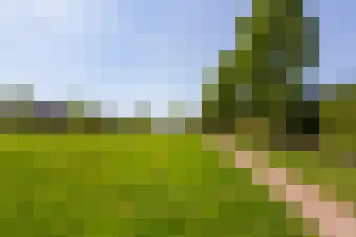 Maassingel 76 IJsselstein thumbnail 47