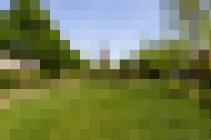 Maassingel 76 IJsselstein thumbnail 48