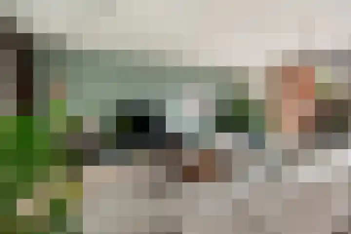 Maassingel 76 IJsselstein thumbnail 8
