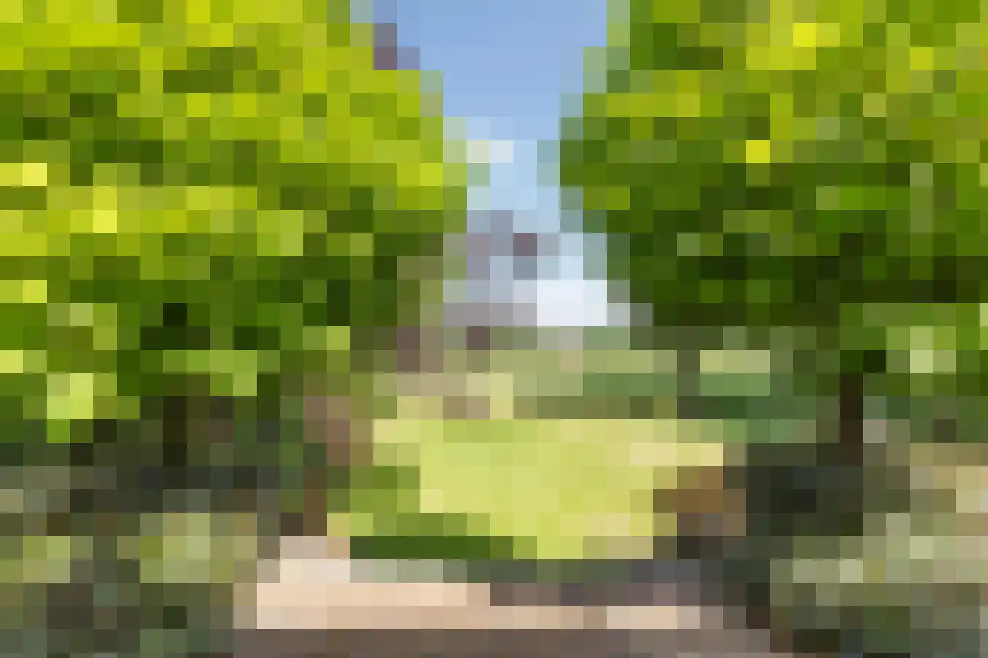 Maassluiseweg 15 Maasland thumbnail 33