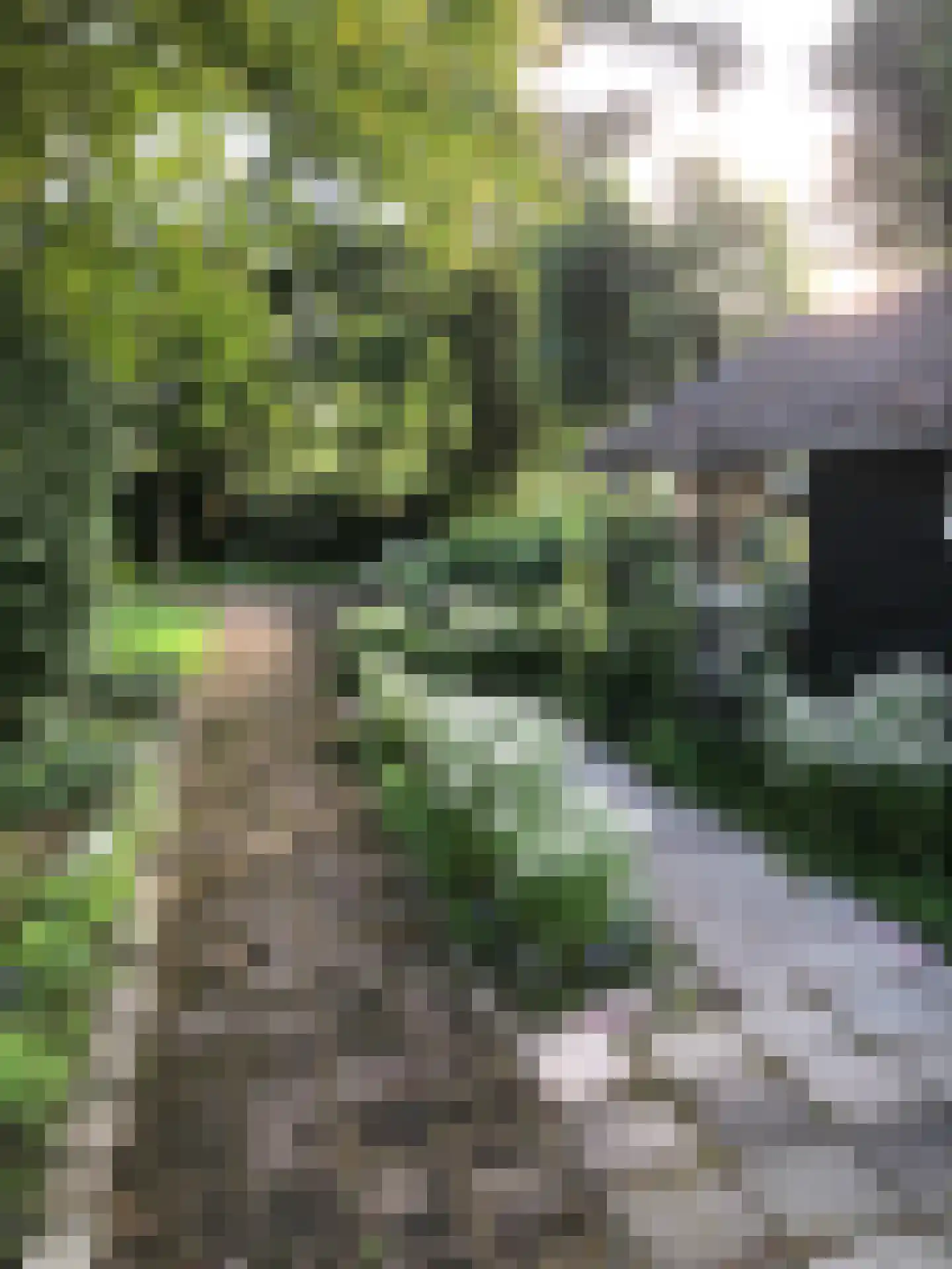 Maassluiseweg 17 Maasland thumbnail 30