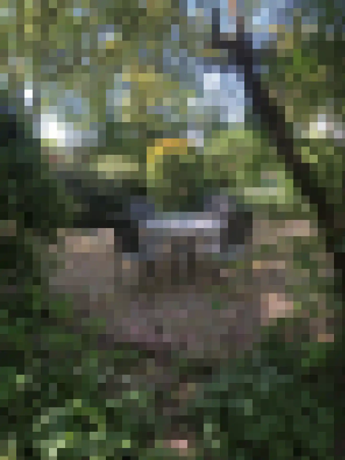 Maassluiseweg 17 Maasland thumbnail 33