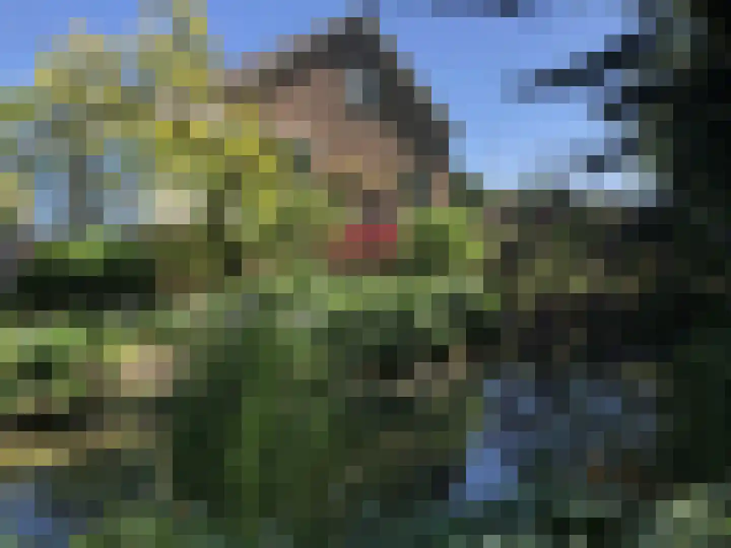 Maassluiseweg 17 Maasland thumbnail 5
