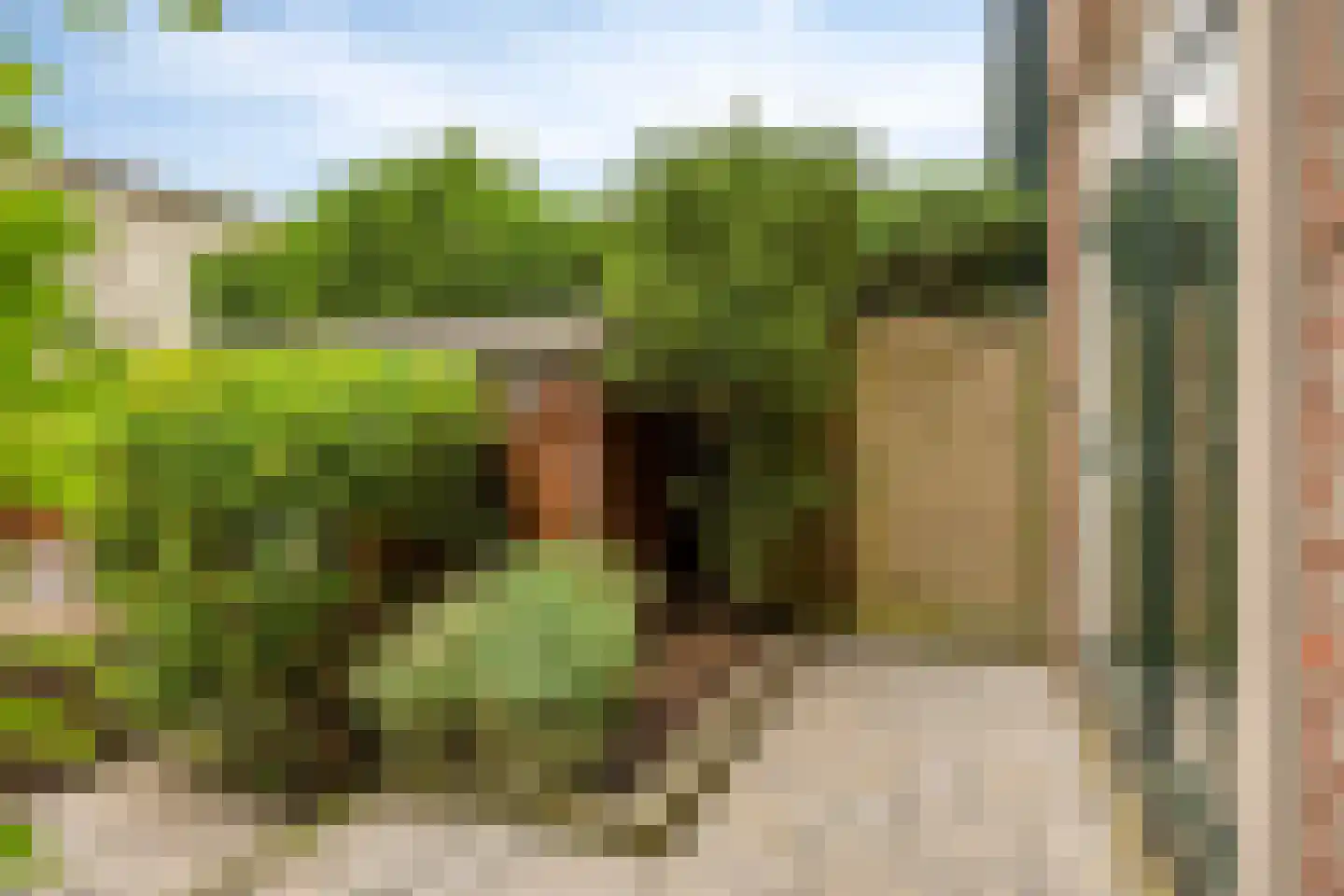 Maassluissedijk 104 Vlaardingen thumbnail 35