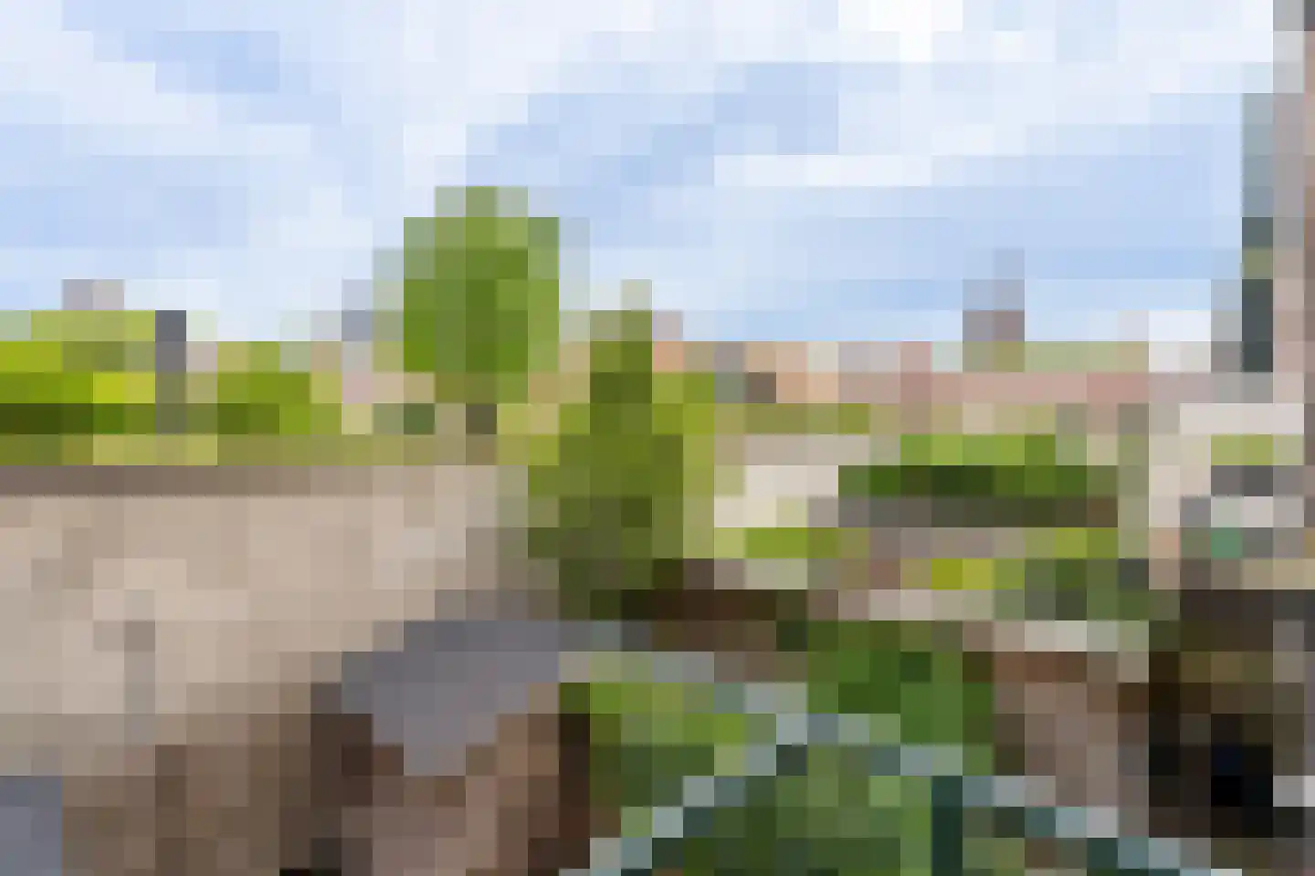 Maassluissedijk 112 Vlaardingen thumbnail 19
